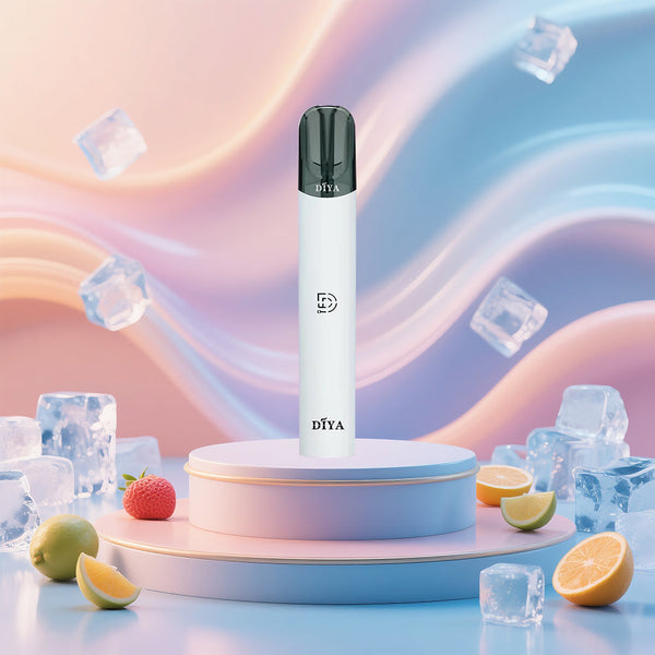 DIYA 叮啞 一代主機