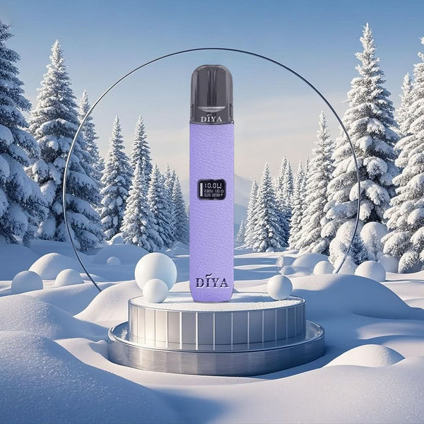 主機DIYA 叮啞 一代主機皮革